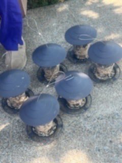 ATTPioneersJCTNCouncil tweet media