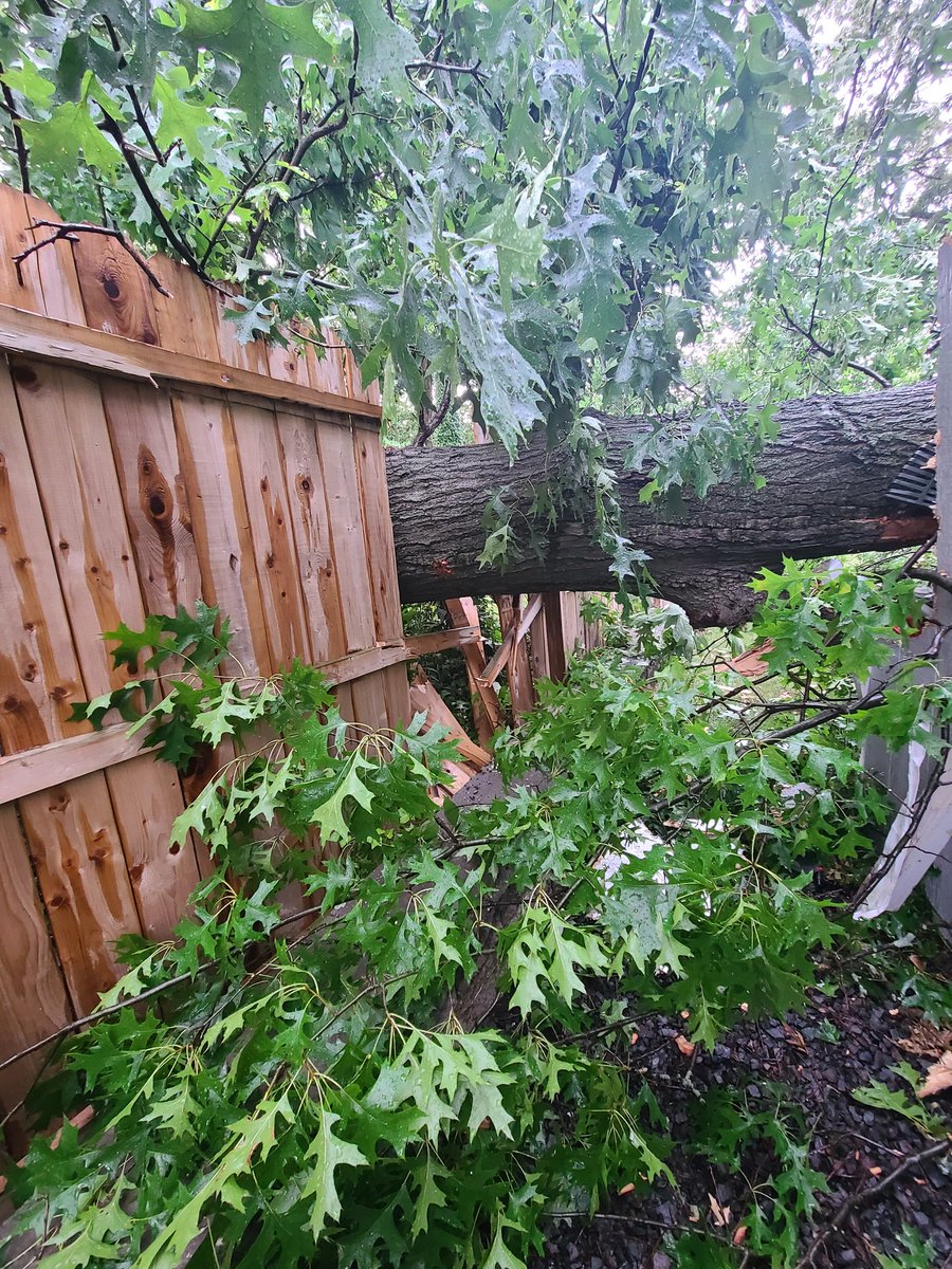 Lioness0807's tweet photo. @LeeGoldbergABC7 @ABC7NY My neighbor's tree came down in the storms - Woodbridge, NJ https://t.co/HZaKvMa5Ls