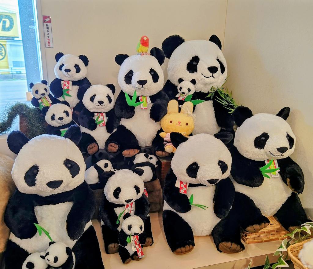 白井さんぬいぐるみ