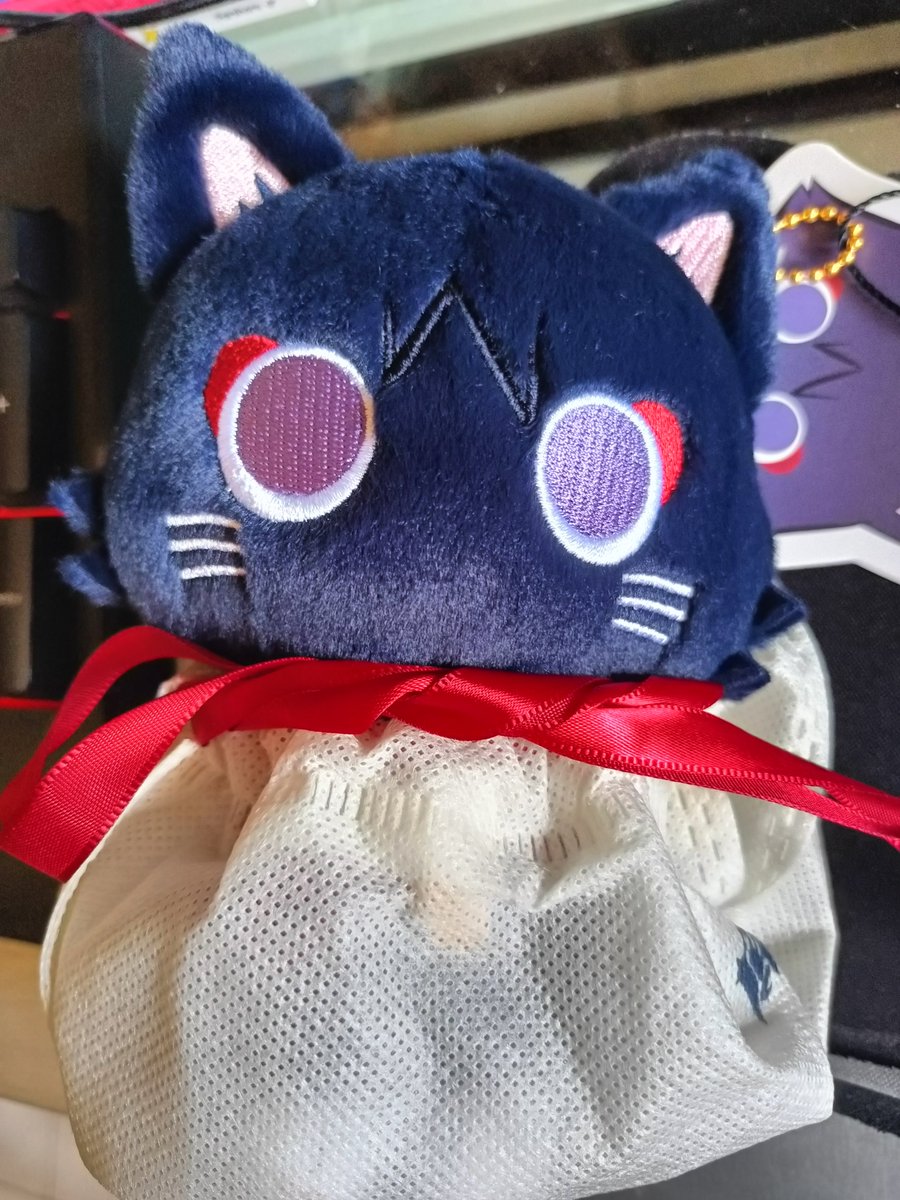 woa ᓚ₍ ^. .^₎ tweet media