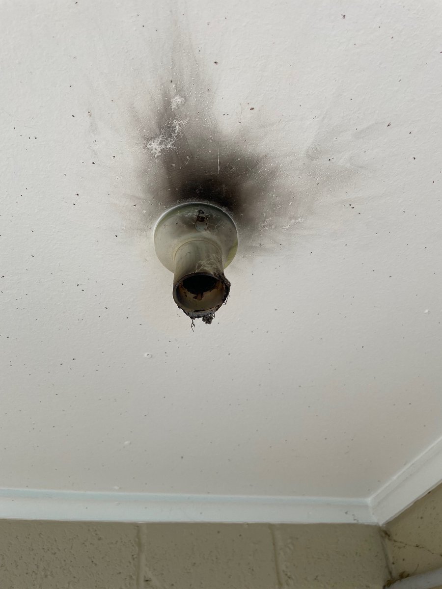 sparkysaclass's tweet image. This light failed after the recent rains. A common fault that can be avoided by repairing leaks to roof and/or cleaning gutters to prevent overflowing into roof space.
