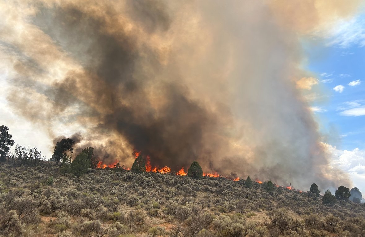 azstateforestry's tweet photo. The #ApexFire burning west of Tusayan was mapped today at 3,100 ac. It is now 40% contained. Firefighters dealing w/outflow winds that cont. to keep fire activity high. The fire pushed out to the NE today thru retardant lines. Crews along w/a dozer were able to pick up the slop over. On the south side, crews are burning off along a road to help tie in containment lines. 

Fire burning in dense, oily fuel creating thick, dark smoke which will be visible to many nearby communities. 

📍Loc. 10 mi W. Tusayan #CoconinoCounty
#AZFire #AZForestry @KaibabNF
