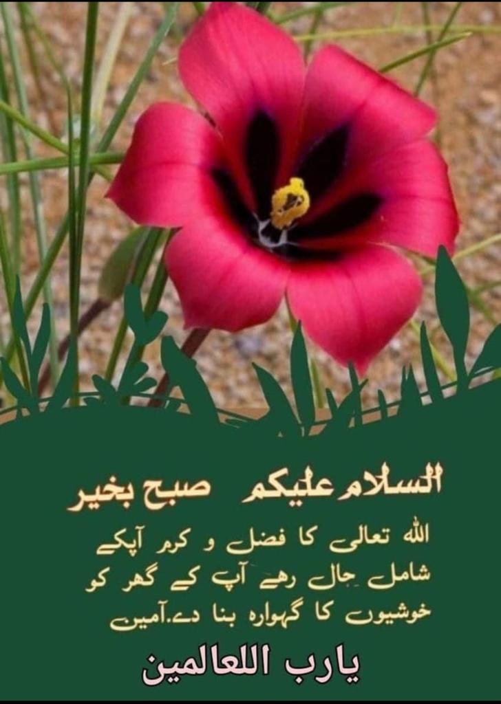 #السلام_عليكم_ورحمة_الله_وبركاته

#Good morning