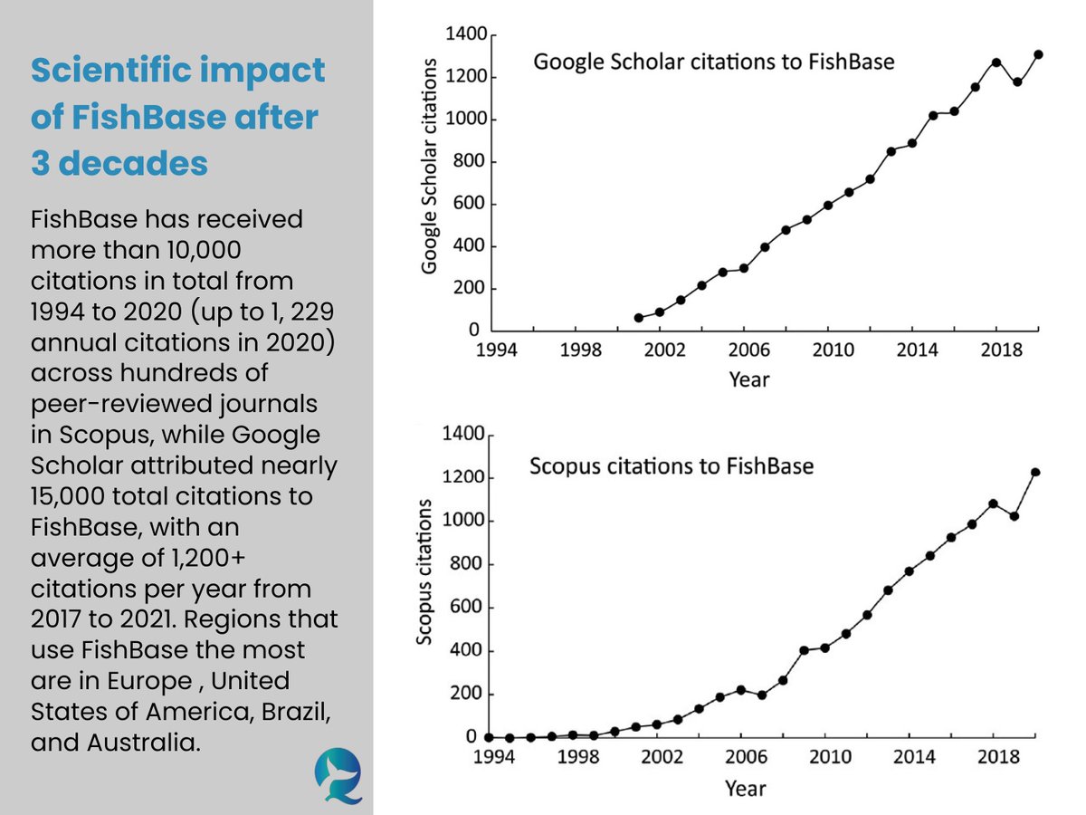 FishBase | BlueSky: @q-quatics.bsky.social tweet media