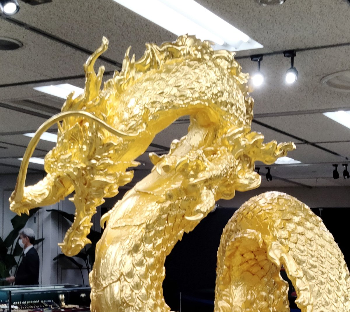 ryuaz715's tweet photo. 福岡大丸〜黄金展 https://t.co/V1cwziLVpP
