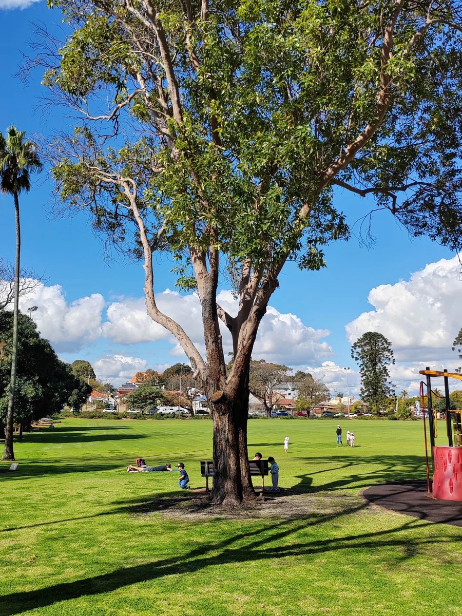 I always have a lot of fun here and can play for more than an hour. I miss the times when I used to play here with my friends, nieces, and nephews. I hope to visit again with the kids when I'm not busy with work at all.