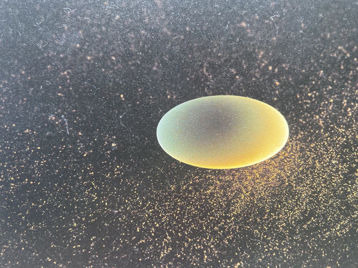 内藤礼：たくさんのものが呼び出されている Being called　サイン入り 0Y3A8387-300x200.jpg