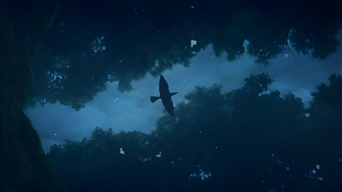 ㅤ
At the strange absence of the 𝐒𝐓𝐎𝐍𝐄 𝐇𝐀𝐒𝐇𝐈𝐑𝐀, Zekka set out to discover his whereabouts. But surely he was perfectly fine, right? He was the strongest, he could handle anything. ↓
ㅤ