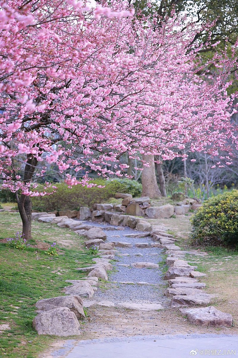 Elena (@elena192827) on Twitter photo 