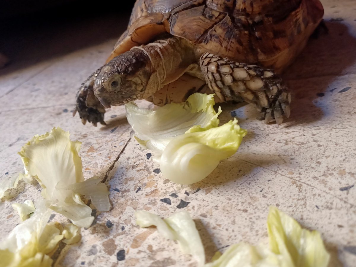 يارب شغل ف سفر ف جواز tweet media