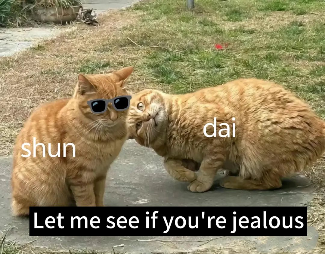 shendudn tweet media