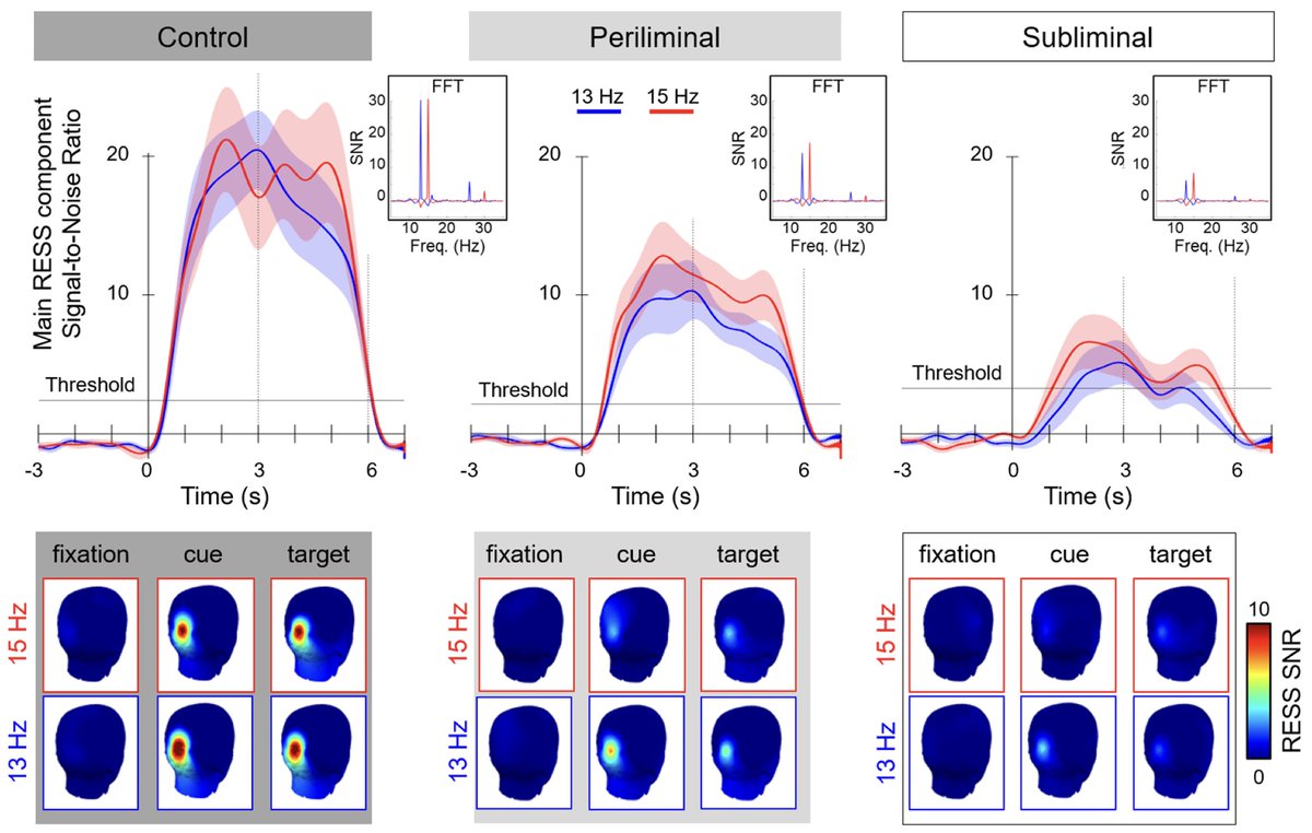 New paper in Imaging Neuroscience by Simon Ladouce and Frédéric Dehais:

Frequency tagging of spatial attention using periliminal flickers

doi.org/10.1162/imag_a…