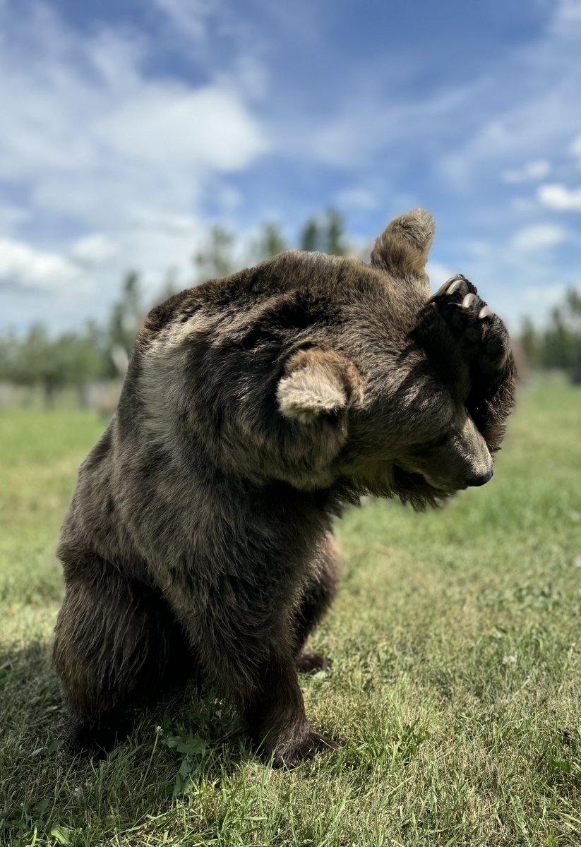 Discovery Wildlife tweet media