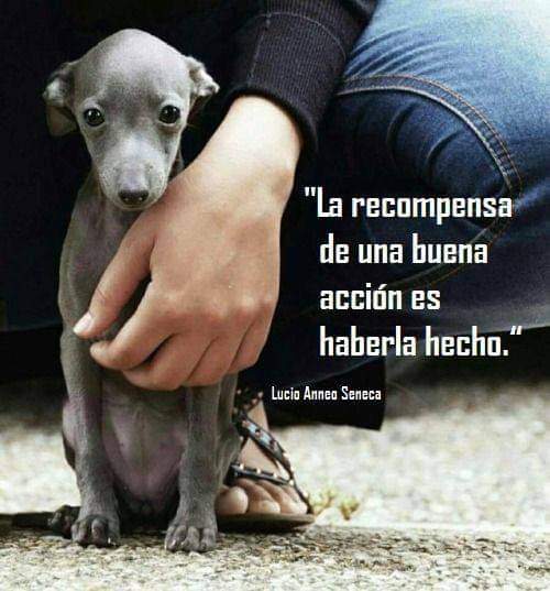 Uriel (@uriel66689314) on Twitter photo Feliz miércoles! <a href="/nydiacervera/">Nydia Cervera</a> <a href="/Marilu86053/">Marilú 💕🐘🐘🐘💕 🇲🇽</a> <a href="/addy_pink/">Pinky</a> <a href="/antymob/">Miss Anty Mobarak</a> <a href="/mtz_tt/">B€TT¥ ツ</a> <a href="/DaliaMRocha/">Yaya Rocha</a> <a href="/EYACAR65/">EYA</a> <a href="/EsEstra/">A L I 🐾</a> <a href="/lasaguis/">lasg</a> <a href="/LETICIA777/">LETICIA TORRES</a> <a href="/Negra_start/">Ⓝⓔⓖⓡⓐ</a> @JohannaLizalde <a href="/rumabo1/">Pata perruna 🐾🐾</a> <a href="/MARLENE_STAHL/">MARLENE 🦋</a> <a href="/Hera_Sea/">★ FRECDA, CAPÍTULO SAN LUIS POTOSÍ</a> <a href="/Vivalyk/">♓⭐🍒 Bárbariux 🍒⭐❤&💫</a> <a href="/akyoshi09/">Fabiola</a> <a href="/hidra881/">Teresa Velazquez Rodriguez</a> <a href="/duky1107/">Claudia</a> @PipianM <a href="/CasLaaU/">Soy Lau. 💜🍉</a> <a href="/MxActivista/">🐾ActivistaMX🌎</a> <a href="/1pantonio/">Antonio Palacios: Las mujeres no tienen pene</a> Feliz miércoles! <a href="/nydiacervera/">Nydia Cervera</a> <a href="/Marilu86053/">Marilú 💕🐘🐘🐘💕 🇲🇽</a> <a href="/addy_pink/">Pinky</a> <a href="/antymob/">Miss Anty Mobarak</a> <a href="/mtz_tt/">B€TT¥ ツ</a> <a href="/DaliaMRocha/">Yaya Rocha</a> <a href="/EYACAR65/">EYA</a> <a href="/EsEstra/">A L I 🐾</a> <a href="/lasaguis/">lasg</a> <a href="/LETICIA777/">LETICIA TORRES</a> <a href="/Negra_start/">Ⓝⓔⓖⓡⓐ</a> @JohannaLizalde <a href="/rumabo1/">Pata perruna 🐾🐾</a> <a href="/MARLENE_STAHL/">MARLENE 🦋</a> <a href="/Hera_Sea/">★ FRECDA, CAPÍTULO SAN LUIS POTOSÍ</a> <a href="/Vivalyk/">♓⭐🍒 Bárbariux 🍒⭐❤&💫</a> <a href="/akyoshi09/">Fabiola</a> <a href="/hidra881/">Teresa Velazquez Rodriguez</a> <a href="/duky1107/">Claudia</a> @PipianM <a href="/CasLaaU/">Soy Lau. 💜🍉</a> <a href="/MxActivista/">🐾ActivistaMX🌎</a> <a href="/1pantonio/">Antonio Palacios: Las mujeres no tienen pene</a>