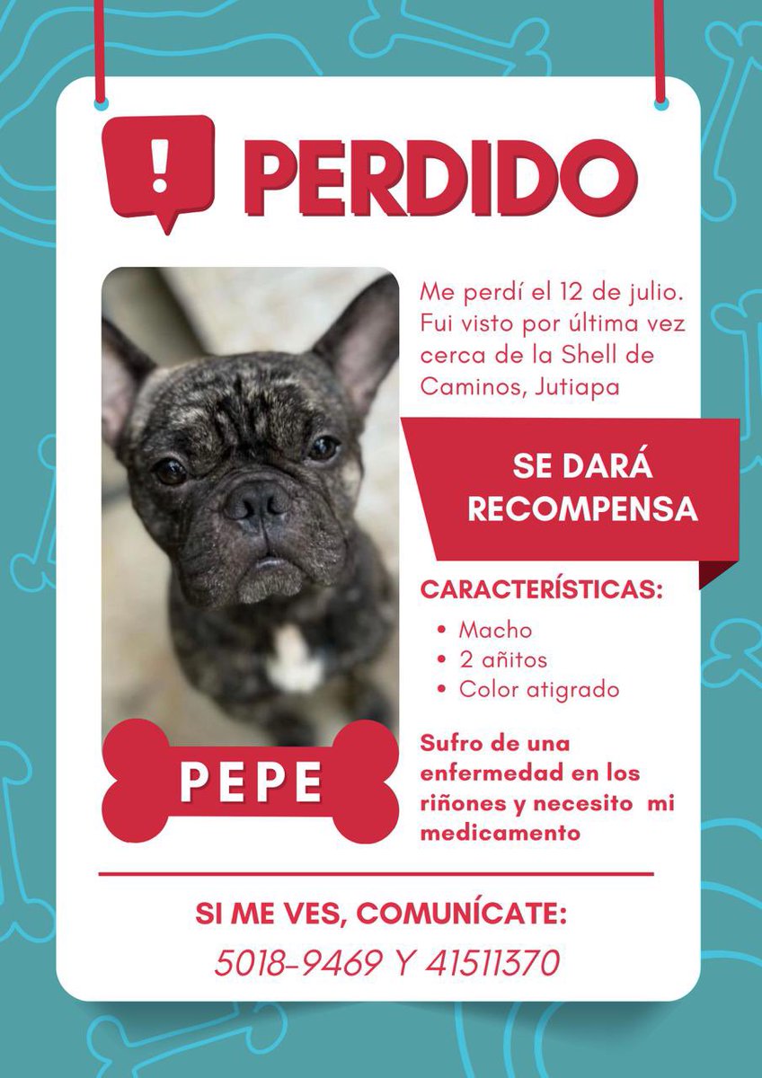 Llegó otra noche sin vos mi PEPE sigo con mucha Fe que Dios me va permitir que estemos juntos. Les sigo pidiendo su ayuda compartiendo y buscándolo♥️😭