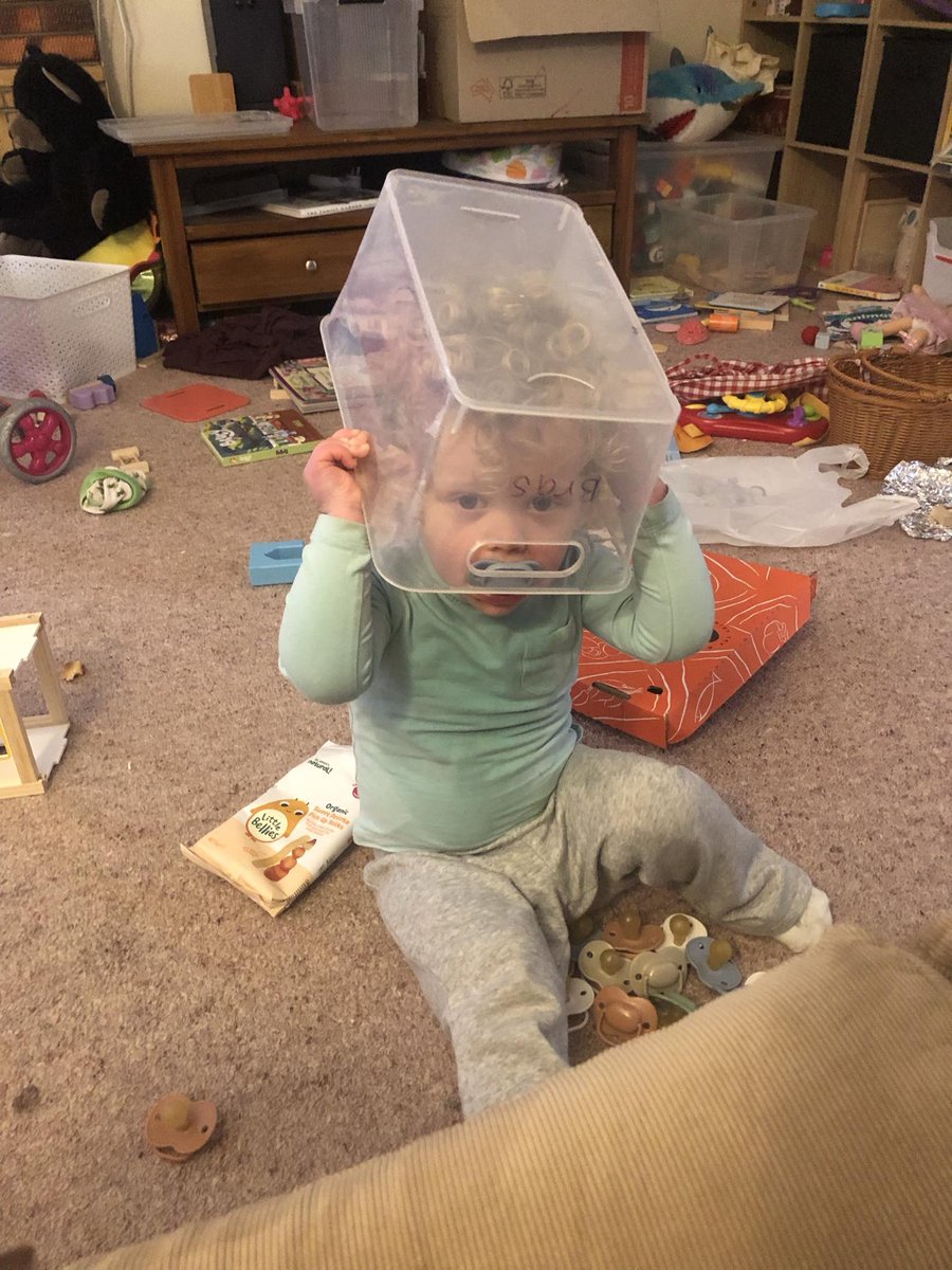 Bundogs's tweet photo. Miss Bea training to be an astronaut 👩🚀 #yougogirl #nolimits #shecandoanything https://t.co/CDs3aSbn4w