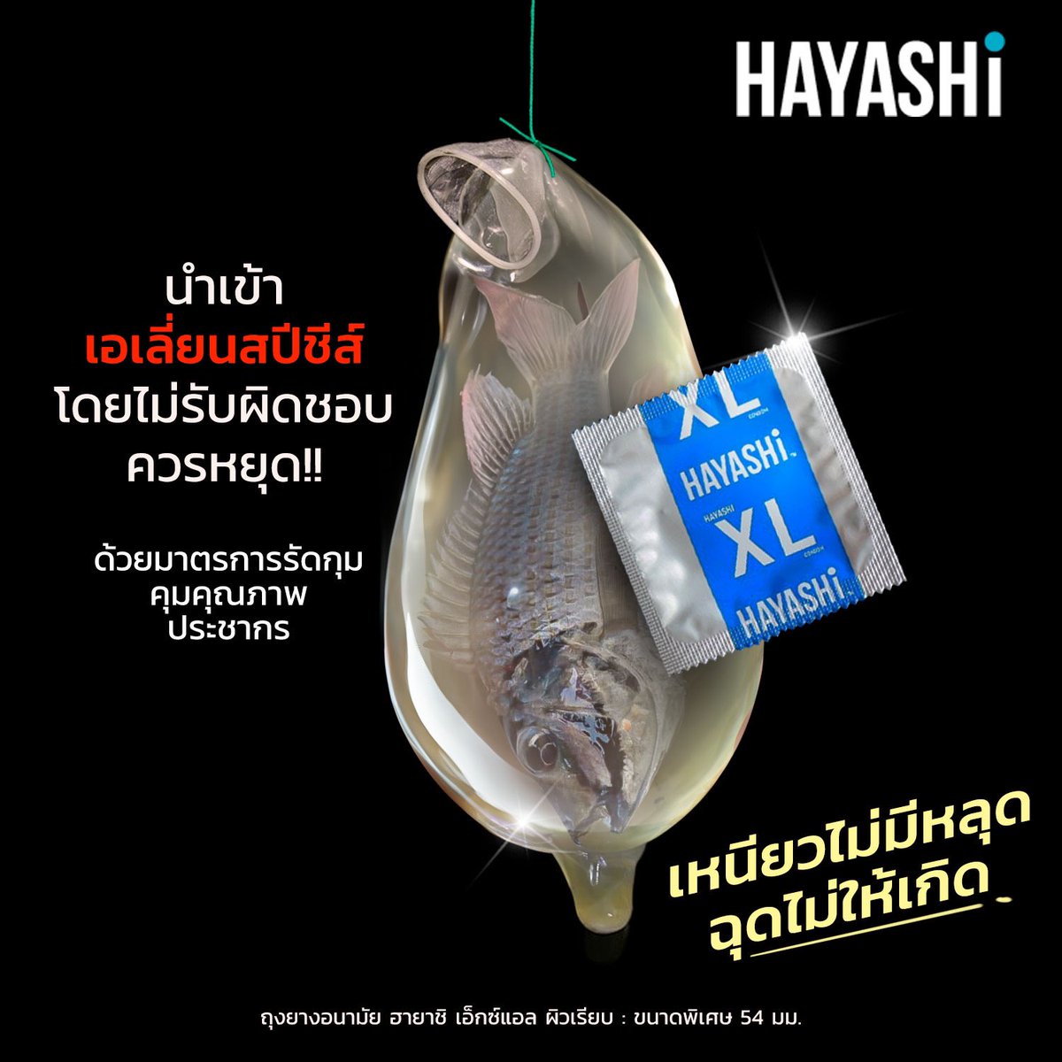 HAYASHi Products (@HayashiProducts) / Posts / X
