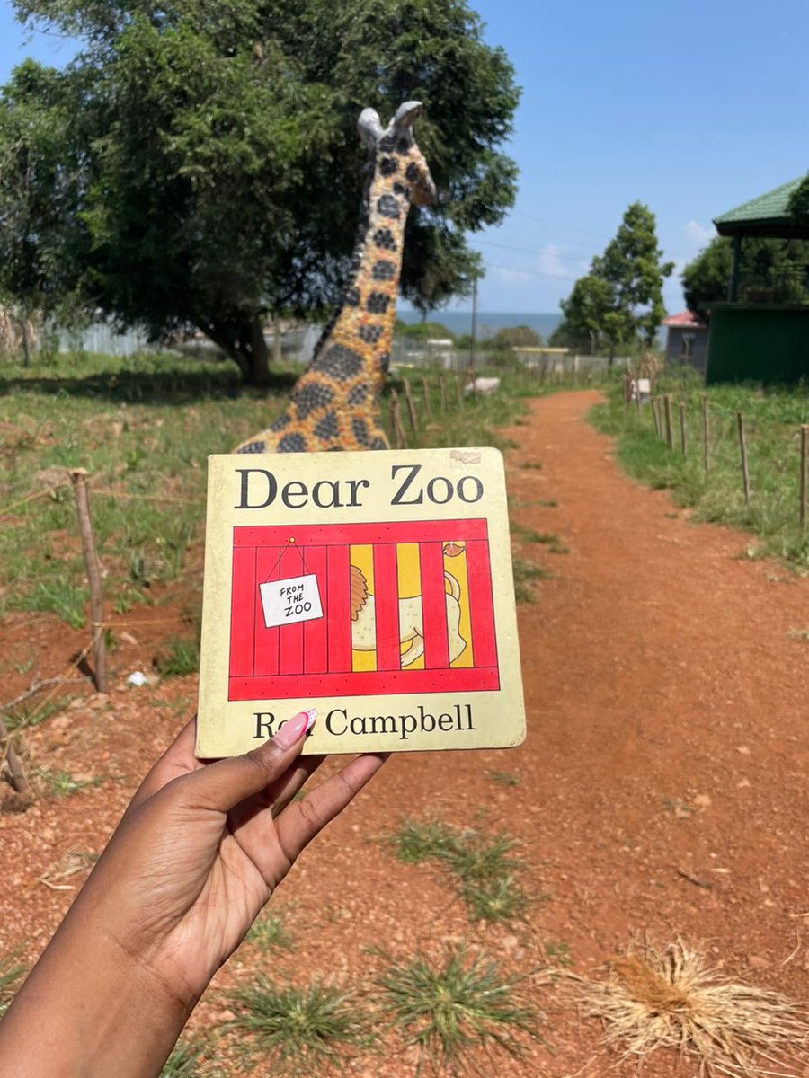 SoooManyStories's tweet photo. 📚✨ We’re inviting our little story lovers today to immerse themselves into the timeless charm of Rod Campbell’s classic lift-the-flap book, “Dear Zoo.” 🐒🦁🦍🐯
 
Join in the fun as children lift the flaps to discover which animals the zoo has sent.
 
#bookedug
#sooomanystories https://t.co/LC7Ka6e2xg