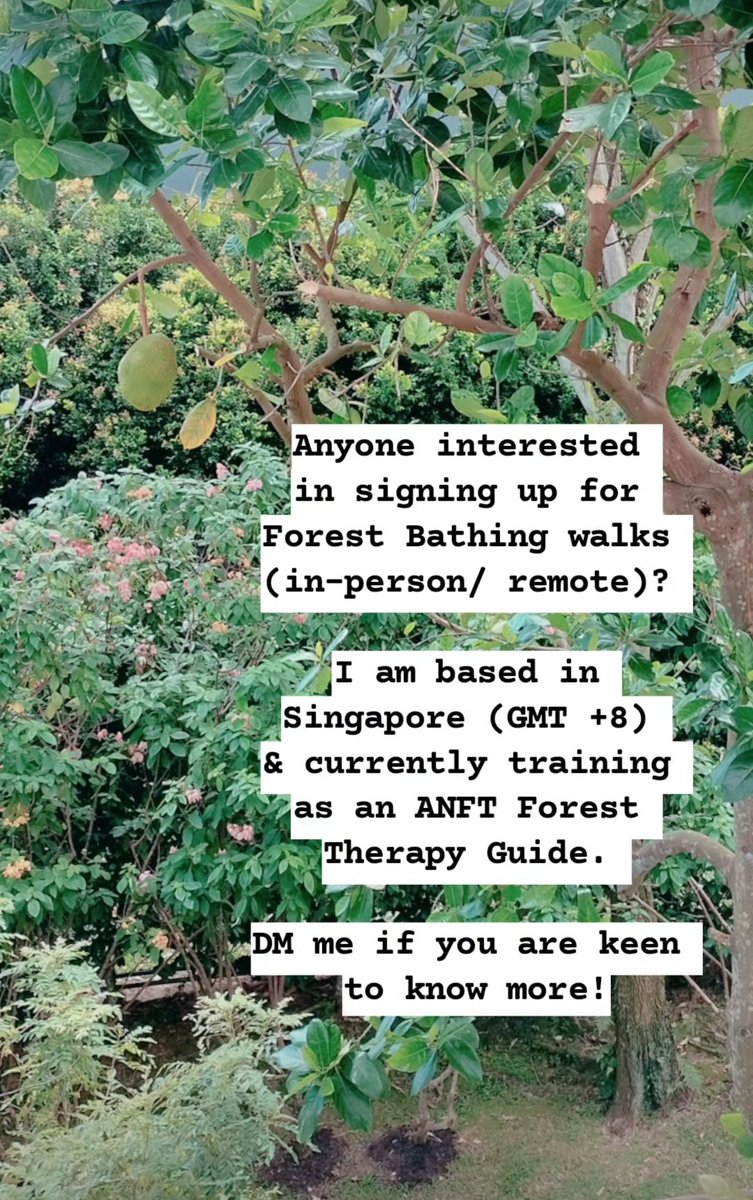 Get in touch if you are keen to experience forest bathing in person or remotely. 

I'm looking to guide small groups at the moment 🌿 

#forestbathing #foresttherapy #connectingtonature #naturewalk #NatureTherapy #forest