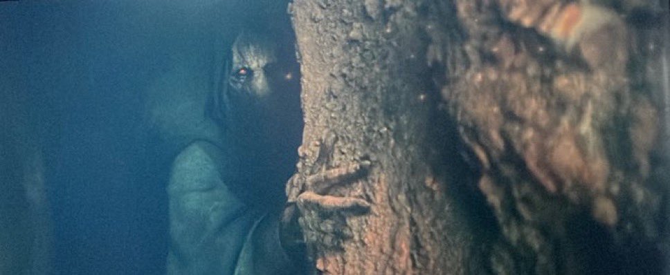 sage⁵⁰¹ 💌 tweet media