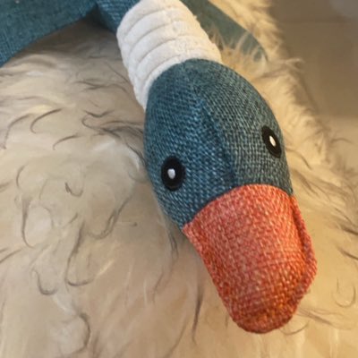 JhengRandy's tweet photo. #NewProfilePic (新個人資料照片) https://t.co/txD6yrHz5d