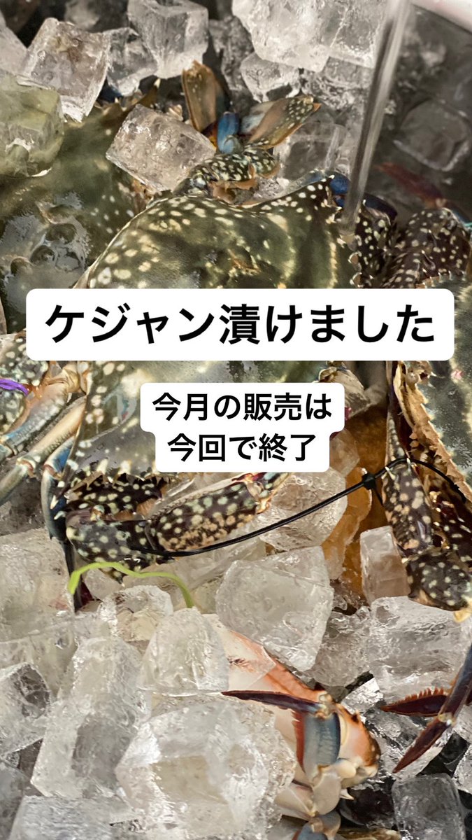 diningbarsarang's tweet photo. カンジャンケジャン6
ヤンニョムケジャン6
漬けました。

生の渡り蟹を使ったケジャンです。

#長野市韓国料理
#ケジャン
#カンジャンケジャン
#ヤンニョムケジャン https://t.co/scLQuZG3Vp