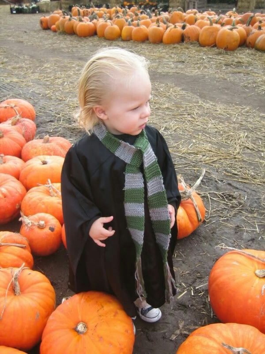 TheDailyHPotter's tweet photo. Baby Malfoy 🐍 https://t.co/ZJNbnyfeQw