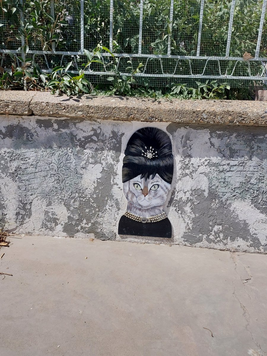 Gününüz keyifle geçsin.Günaydın 🍀🐞