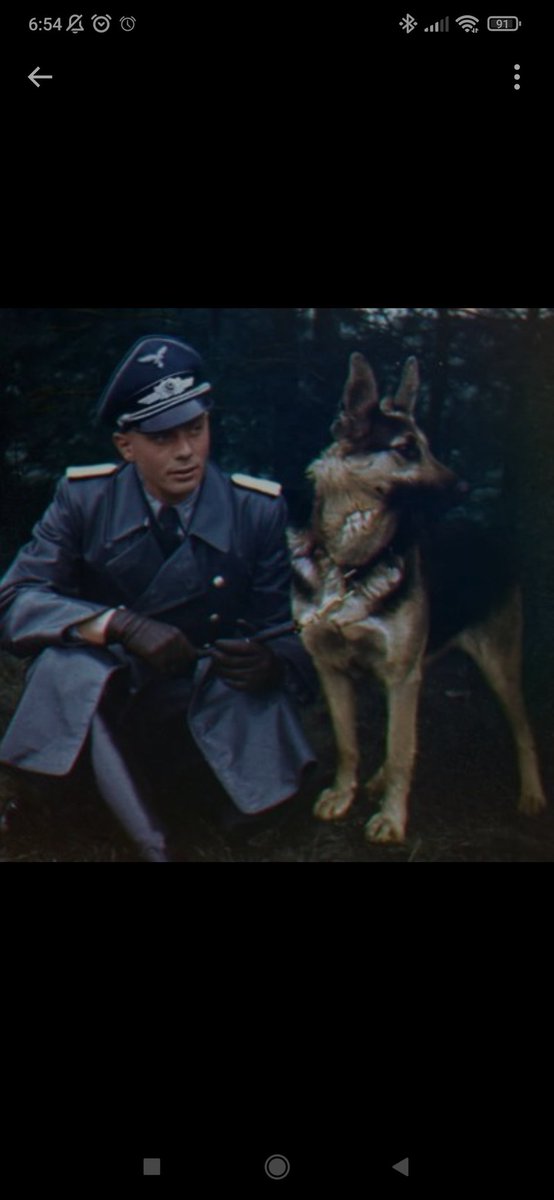 MinecraftRepro tweet media