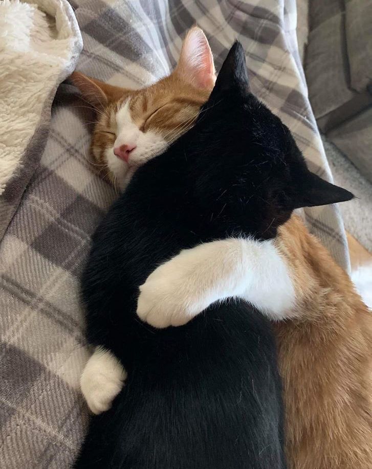 me &amp; you furrever <3