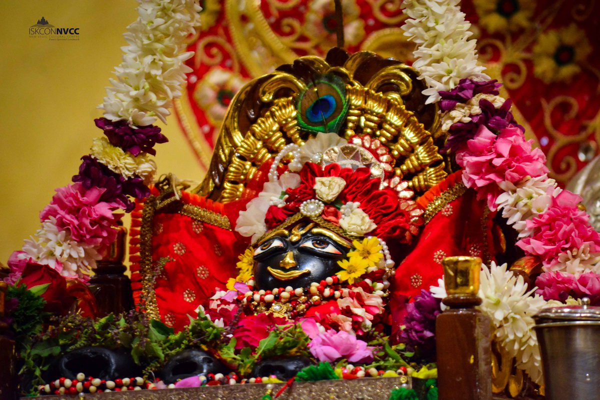ISKCONPune's tweet photo. 🙏🏽Today's Darshan 📿 🗓17-07-2024🙏
🌷Sri Sri Jagannath Baldev Subhadra🌷
🚩@ISKCONNVCCPune🚩
.
.
#ShayaniEkadashi #ShayaniEkadashi2024 #Shayani #Ekadashi
#एकादशी2024 #आषाढीएकादशी #आषाढीएकादशी2024 #आषाढी
#ISKCONNVCCPune #ISKCONNVCC #ISKCONPune
#ISKCON #ISKCON #17thjuly https://t.co/OJ05NQpbjP