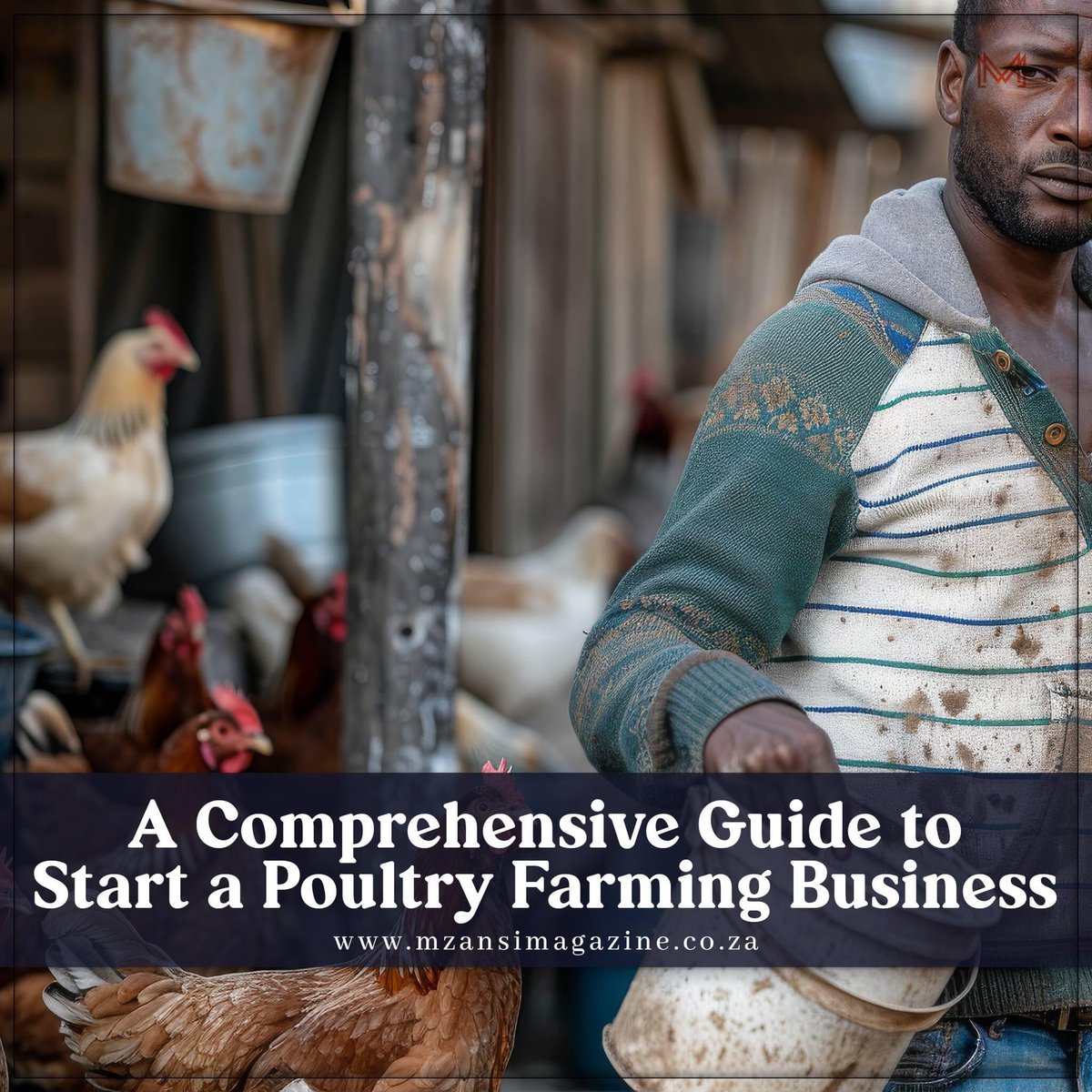 MzansiMagazin's tweet image. It has become so much a lucrative business and attracts both national and global attention. It is also important because it is becoming an important foreign exchange earning business for many countries.

#SustainableFarming
#PoultryFarmingGuide
#BusinessPlanTemplate