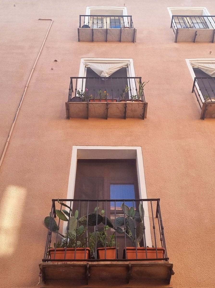 Cigdem_Kayihan's tweet photo. Balconies of Sardinia Island with cactuses 🌵
📷 @Cigdem_Kayihan #Italy https://t.co/7yao0x8tah