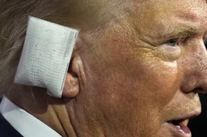 trumanblondie's tweet image. wait…is that?