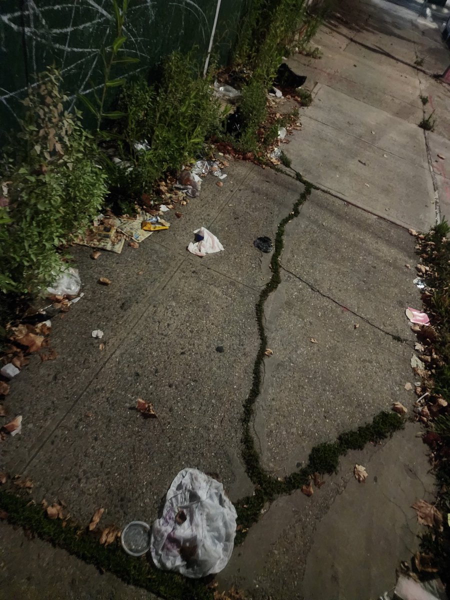 NittyRegulator's tweet photo. @NYCSanitation this location is out of control with the dirty sidewalk.
406 remsen ave &amp; Lenox rd in Brooklyn https://t.co/bx8zdERWeB
