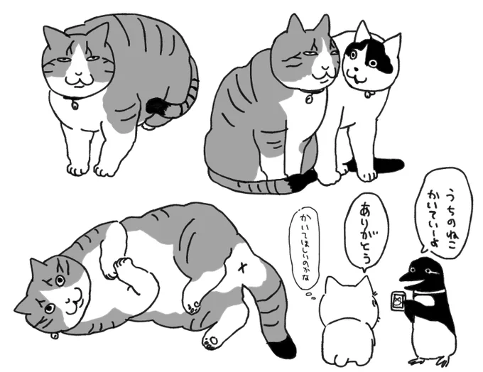 友人とこの猫