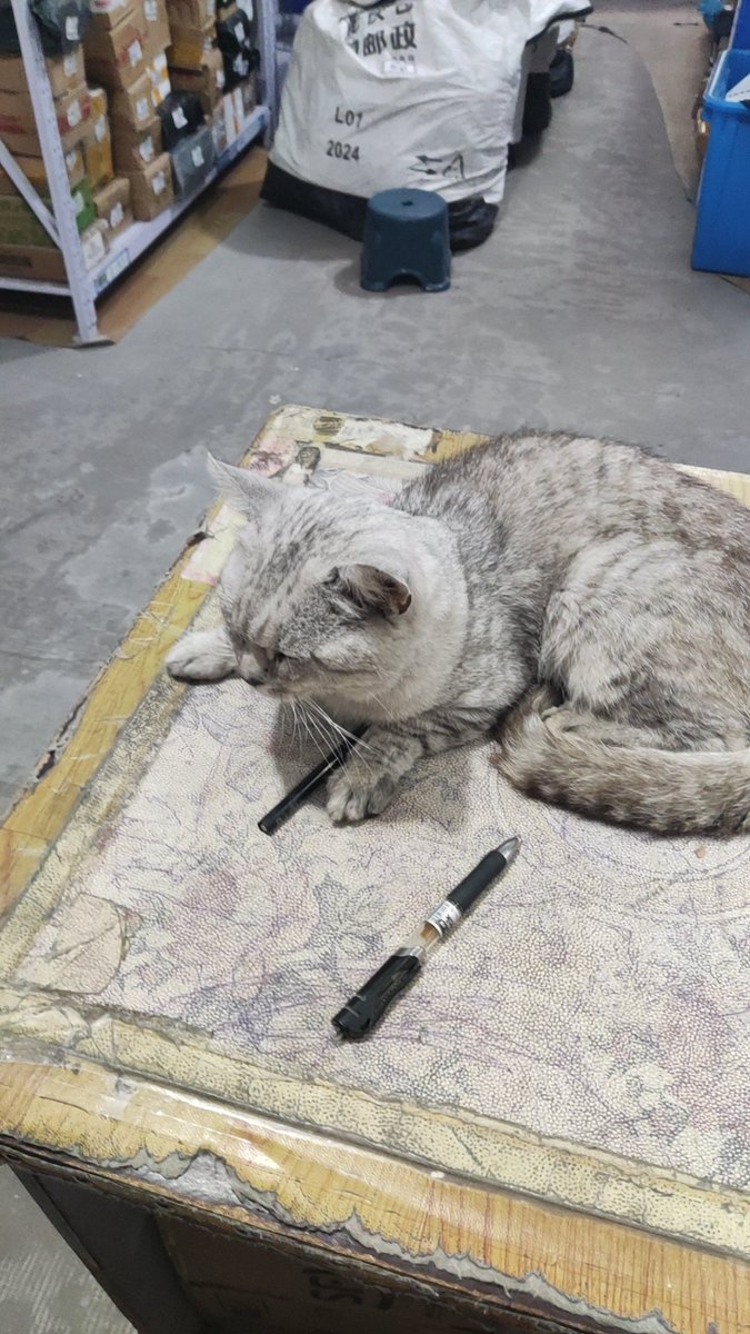 JQKAWM's tweet image. 