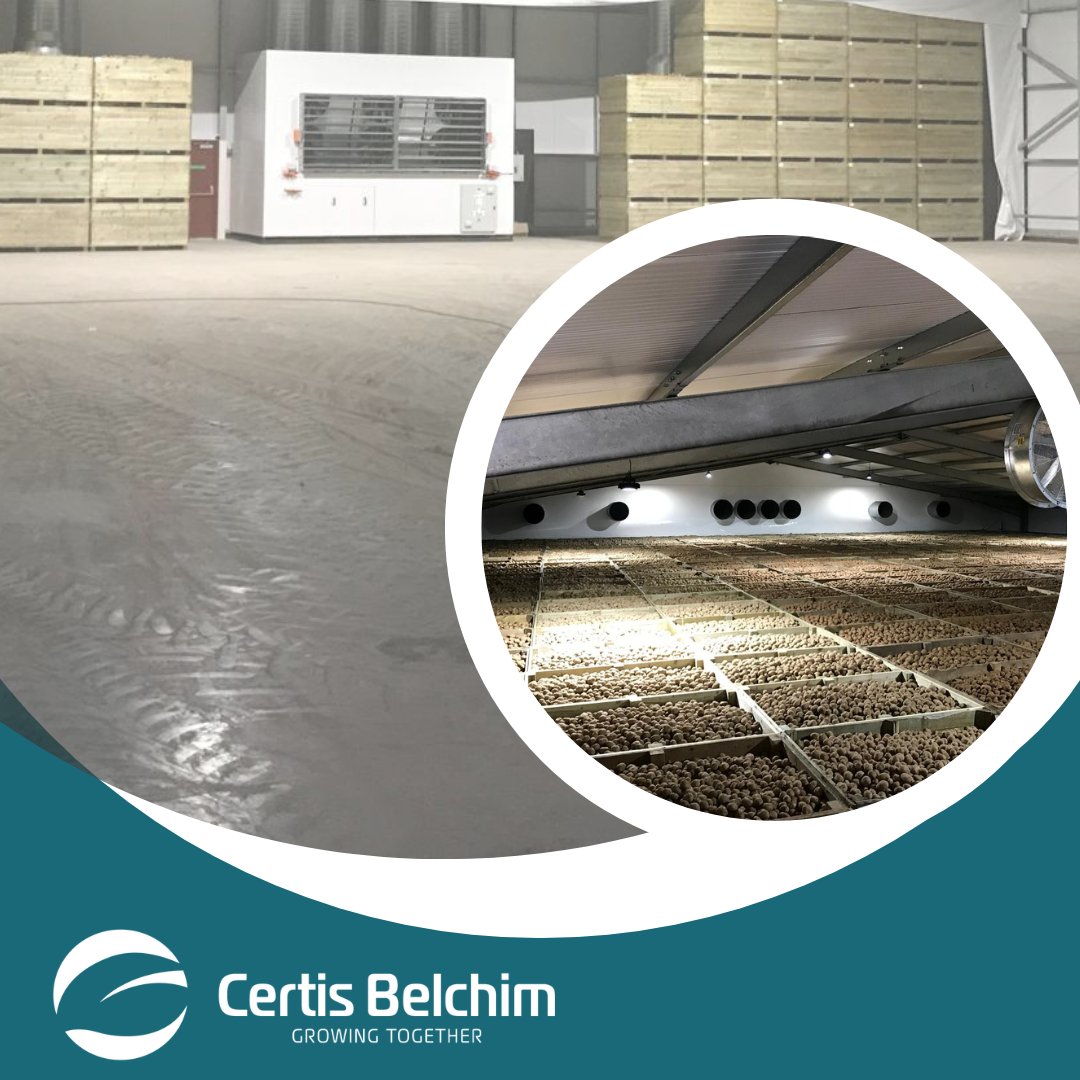 certis_belchim's tweet photo. Reduce the disease risk by using a disinfectant, such as Jet-5, to clean your potato stores. This is particularly important if bacterial soft rotting or damage-related fungal diseases have occurred. 

https://t.co/8P1HLSKCga
#potatoStore #Jet5 #potatogrowers https://t.co/h8K0w1C1Cc