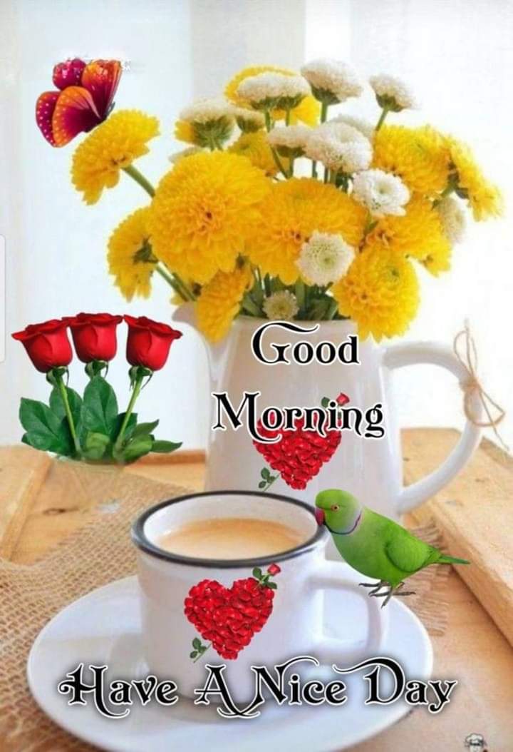 GooD Morning....