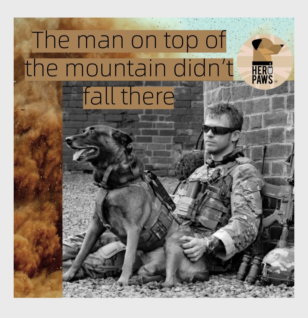 Heropawsuk's tweet image. Morning wonderful warriors 

You've got this

Heroism doesn’t always happen in a burst of glory. Sometimes, small triumphs and large hearts change the course of history 

Teamwork is the secret that makes common people achieve uncommon results 

#military #militarydog #charity