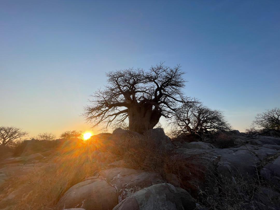 Our final camping adventure to Kubu Island in the Makgadikgadi Pans. One of the most breathtaking places I’ve ever visited!