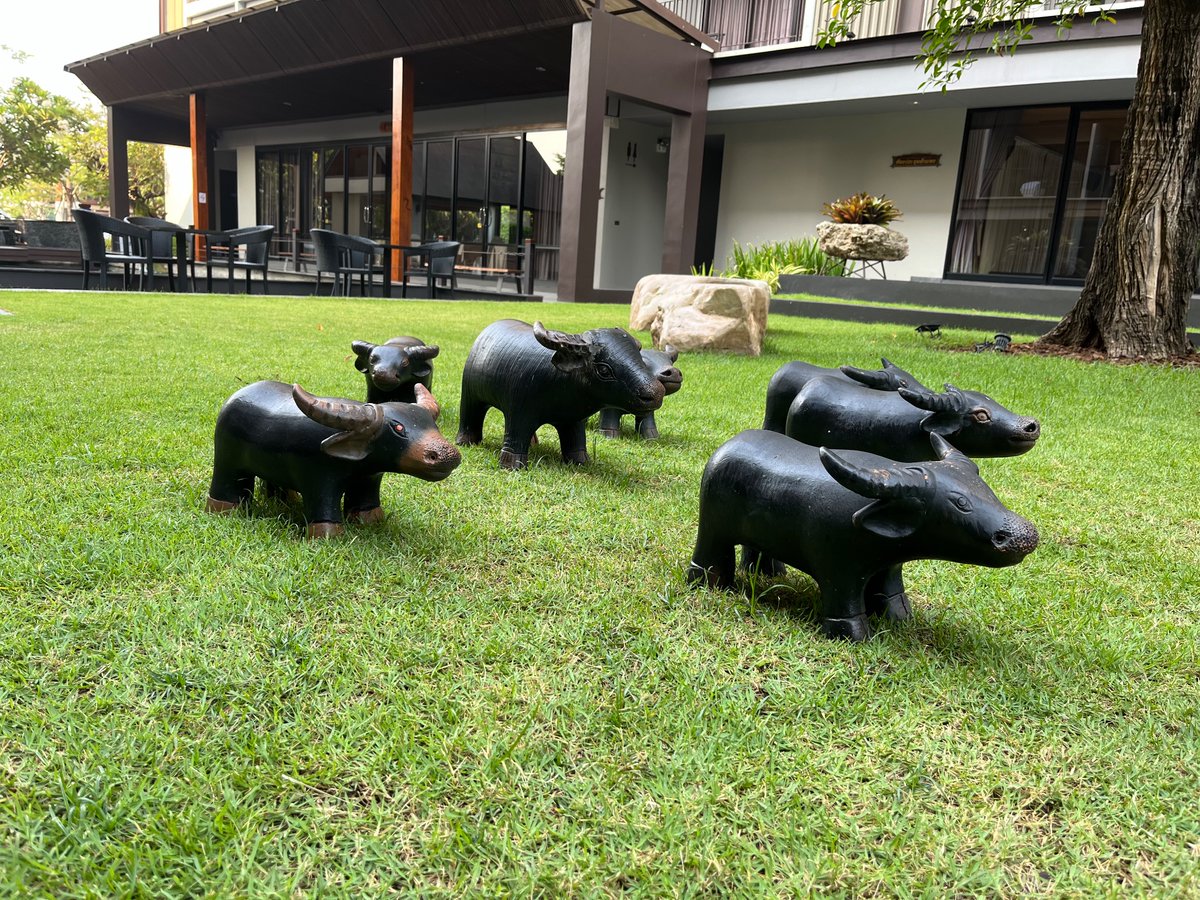 #จังหวัดที่มีสะพานข้าม#โขงแห่งแรกของไทย #หนองคาย #สุขาอยู่หนใด ยาม#ท่องเที่ยวไปใน#ไทยแลนด์ โรงแรม อมันตา #ห้องน้ำ Amanta Hotel #Nong Khai ยังมีที่กิน ที่เที่ยว อีกหลายมุมเมือง