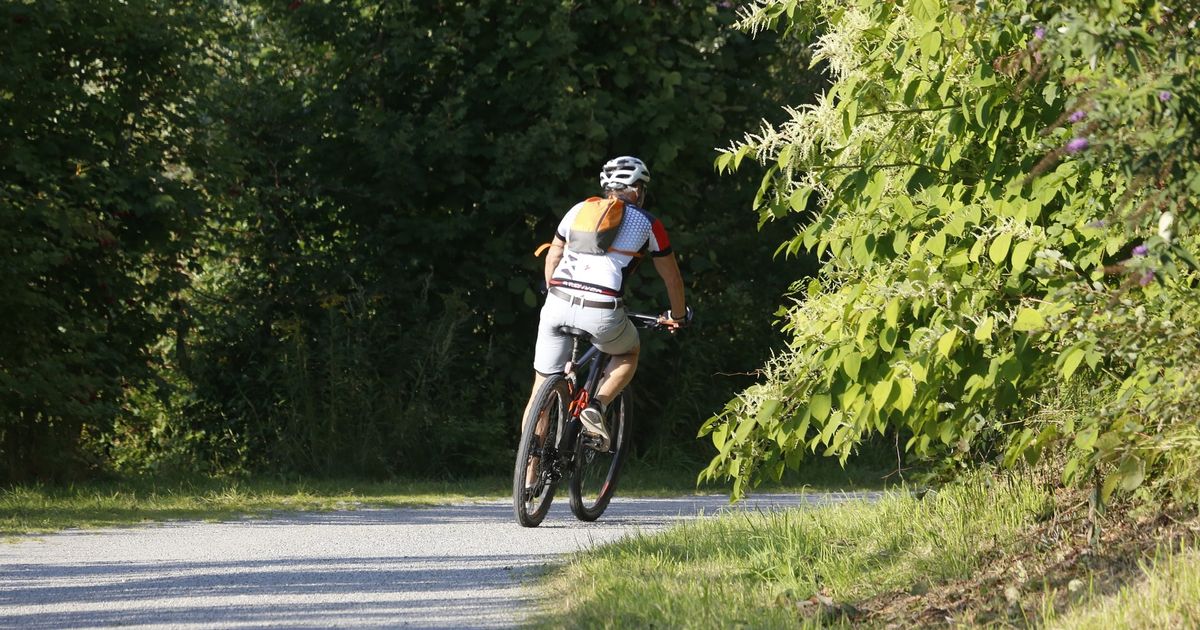 ribn's tweet image. Cycle route plans to go ahead even though people think it's a waste of money dlvr.it/T9hd91