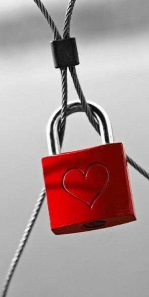 Lyl_ysr's tweet photo. عندما يُسكنك شخص في قلبه ويُحكم إغلاقه عليك ، فإنه يغلق قلبه عن الآخرين ، فيصبح قلبه ملكًا لك أنت ، وليس له !
.
.
#صباح_الخير
#Layal
#Lyl_ysr https://t.co/mj8RBNQOId