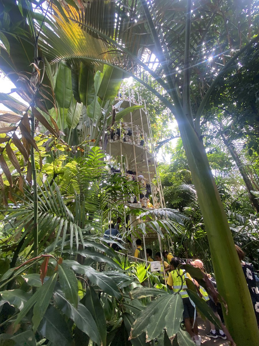 Nicola Curran tweet media