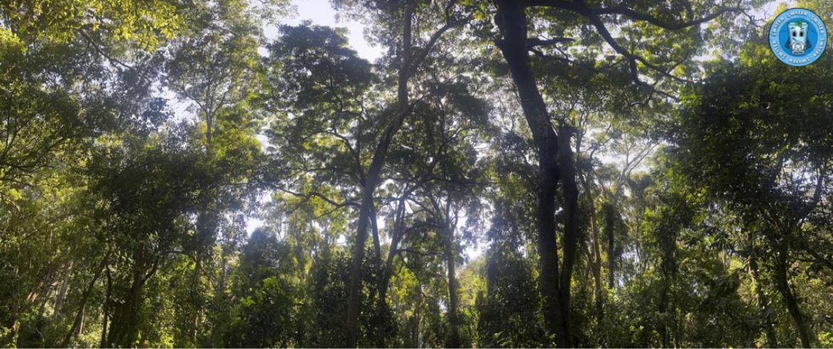 Reforest Africa (@reforestafr) on Twitter photo Thanks <a href="/WaterMemeCoin/">WaterCoin</a> for your generation donation to <a href="/ReforestAfr/">Reforest Africa</a> recognising the important role forests play in sustaining and purifying the world’s water supply. $water watercoin.wtf Thanks <a href="/WaterMemeCoin/">WaterCoin</a> for your generation donation to <a href="/ReforestAfr/">Reforest Africa</a> recognising the important role forests play in sustaining and purifying the world’s water supply. $water watercoin.wtf