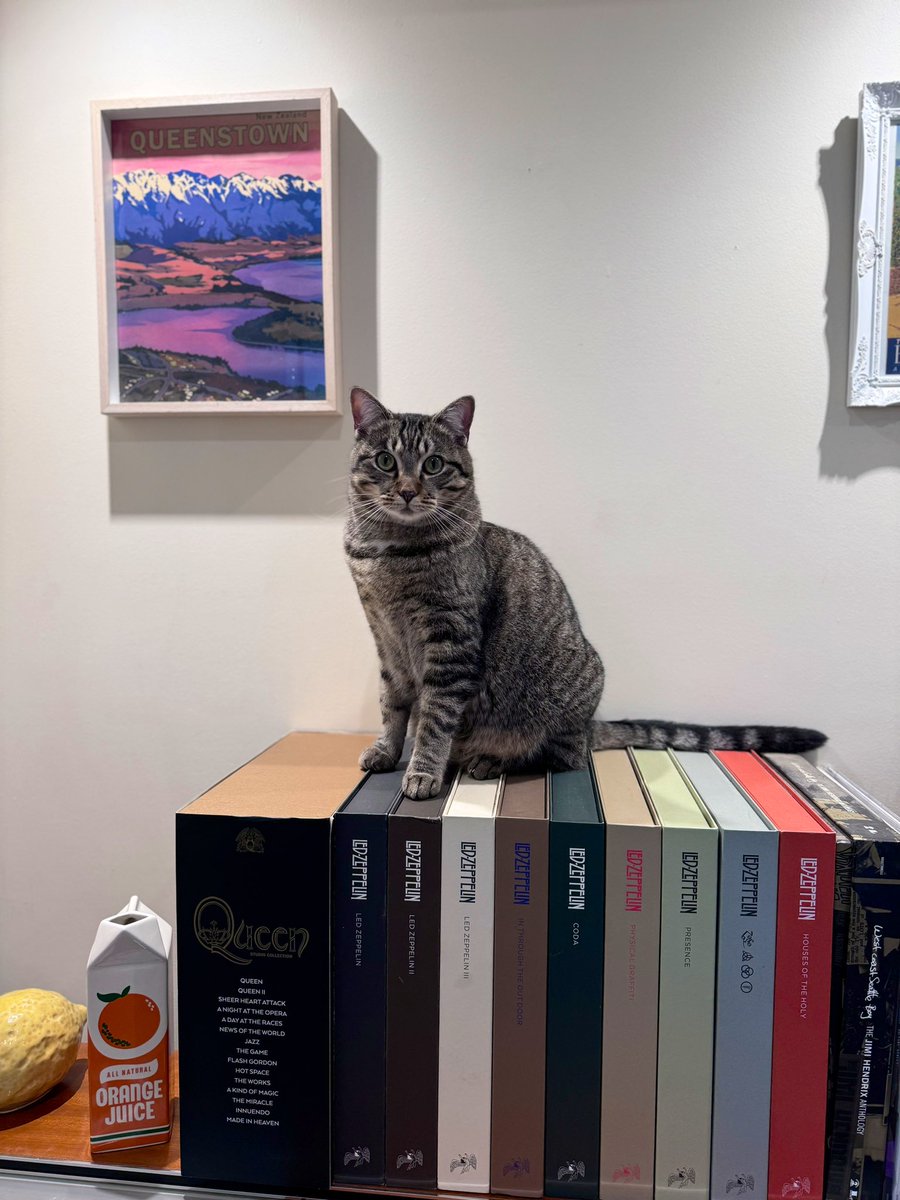 So, I took an accidental year off from this app. Is anyone still here? Also Hugo is much bigger now.