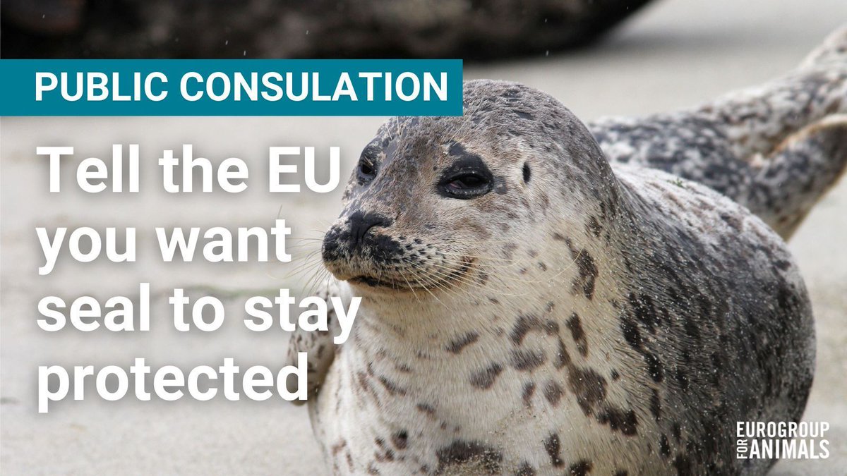 Eurogroup For Animals tweet media