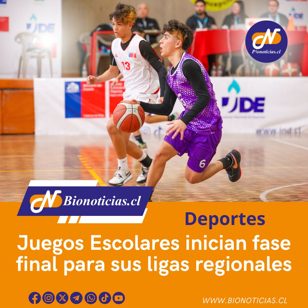 CHANDIAFER's tweet image. Juegos Escolares inician fase final para sus ligas regionales
bionoticias.cl/juegos-escolar… 
#JuegosEscolares #FaseFinal #LigasRegionales #Biobío #FinalNacionalU14