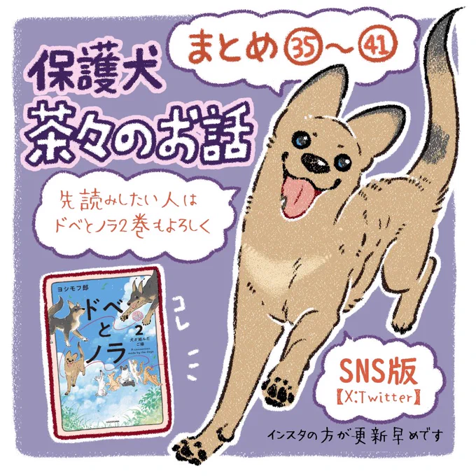 【保護犬茶々のお話】
まとめ35〜41話(最新話)
#漫画が読めるハッシュタグ 
